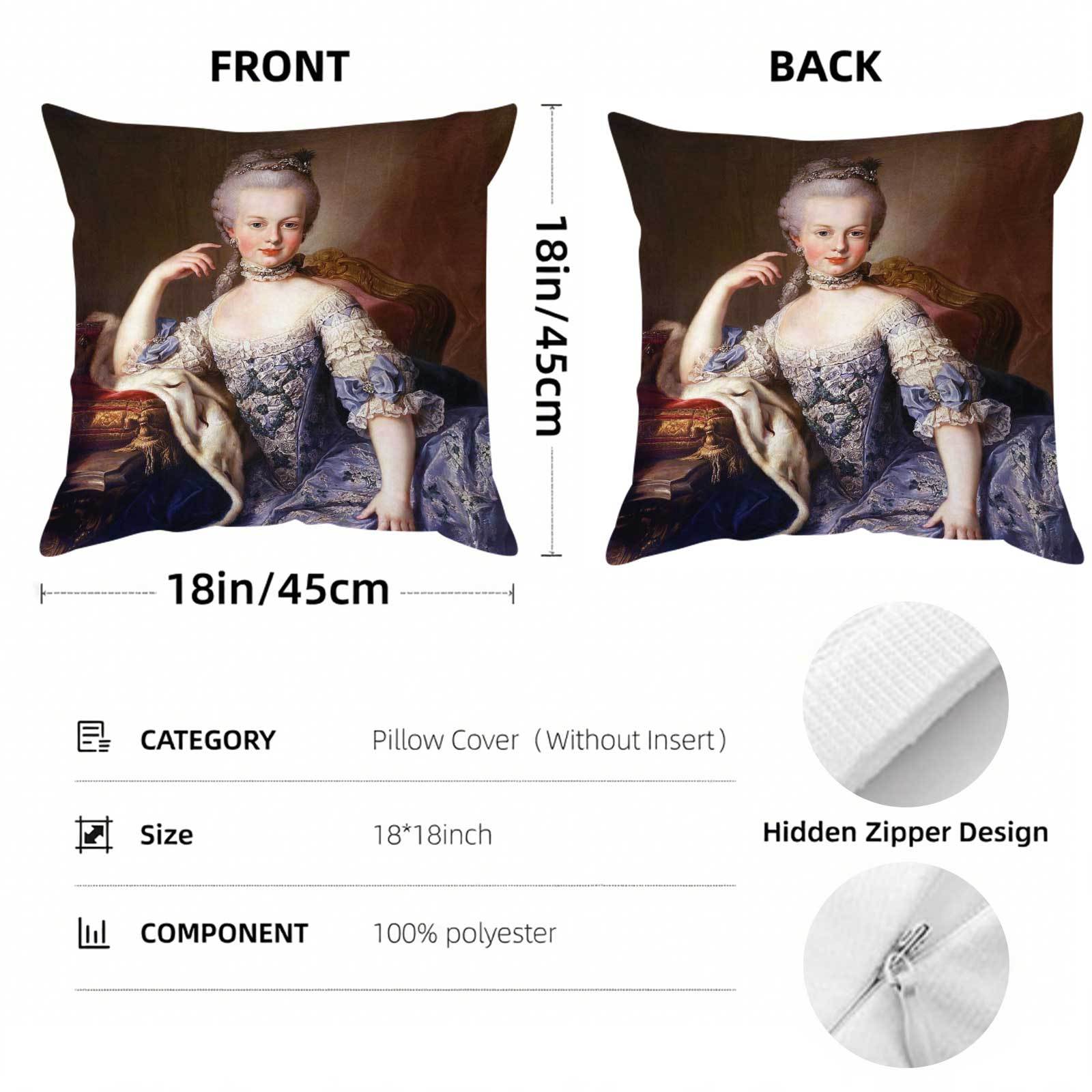 마리 앙투아네트 패턴이 있는 장식용 정사각형 쿠션 커버 - Throw Pillow 리뷰 및 가격