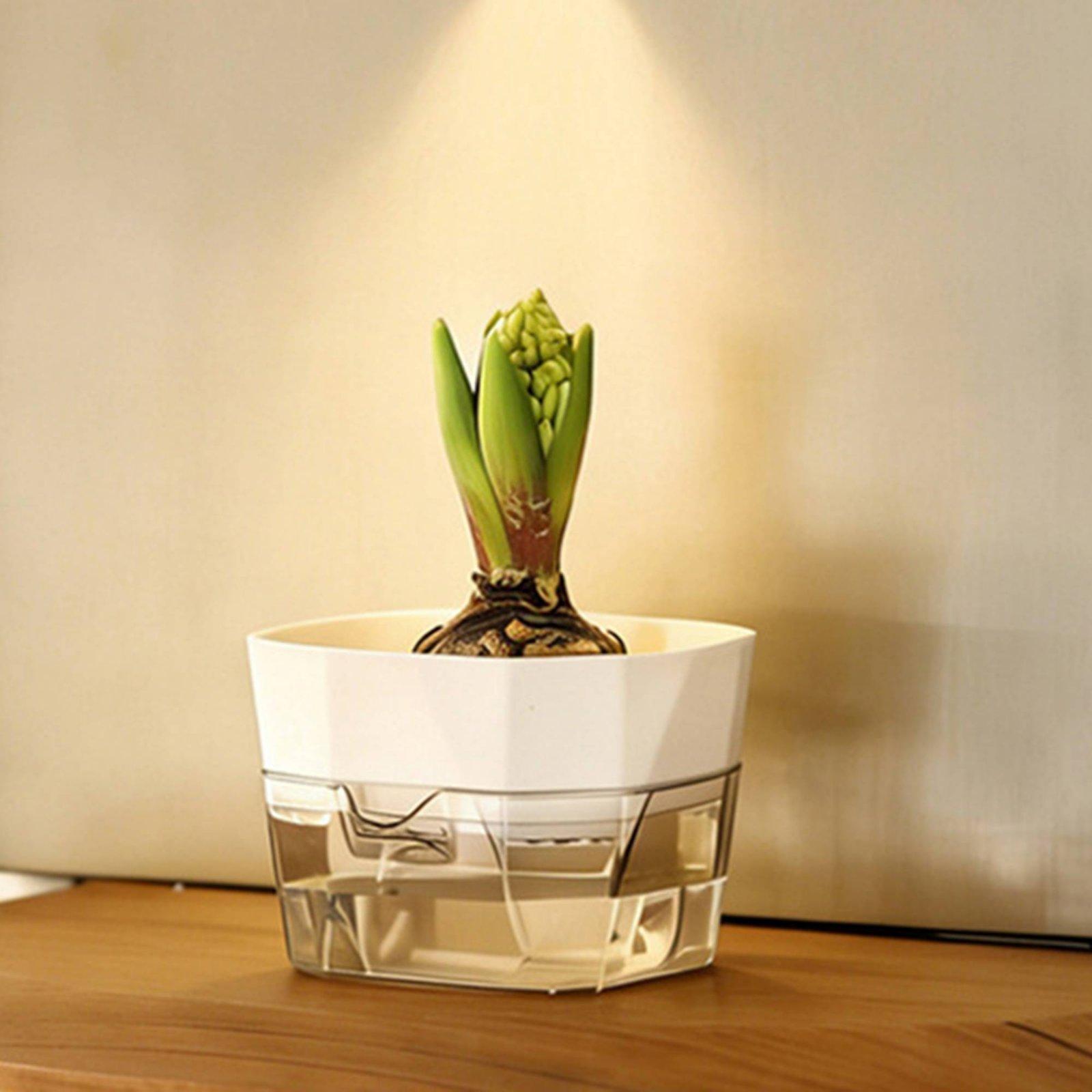수경재배 화병 2단 자동 급수 화분 투명 PET 재질  - Vase Decor 리뷰 및 가격